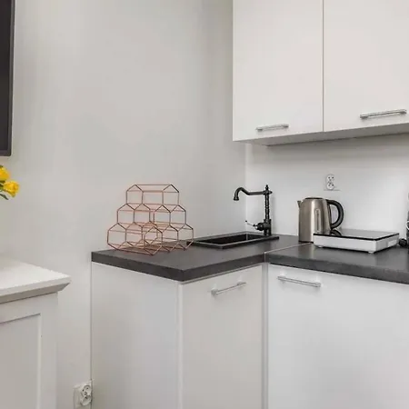 Romantic And Cozy 公寓 *