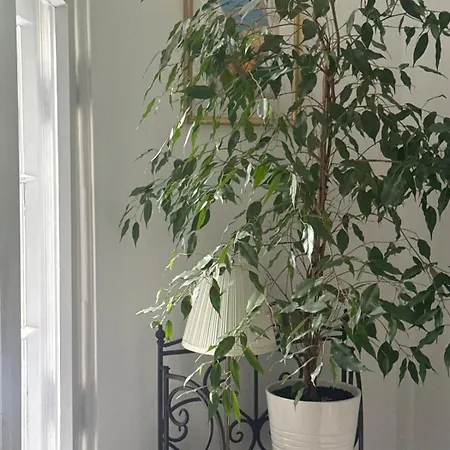 Apartment Romantic And Cozy Szczecin