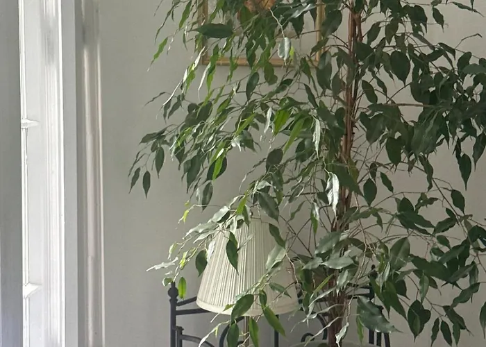 Apartman Romantic And Cozy Szczecin